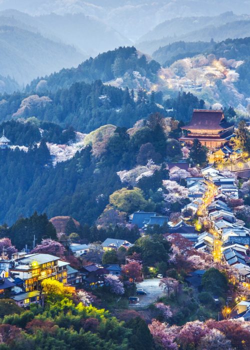 yoshinoyama-japan.jpg